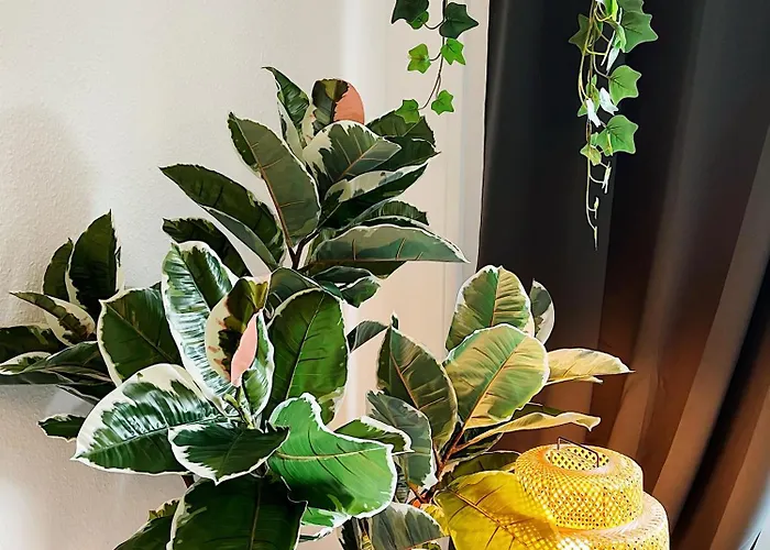 Staytime - Almond Апартаменты Хемниц