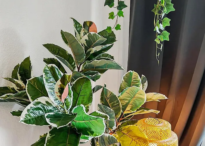 Apartamento Staytime - Almond